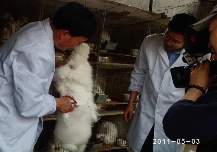 CCTV-7采訪姜主任和公為迎